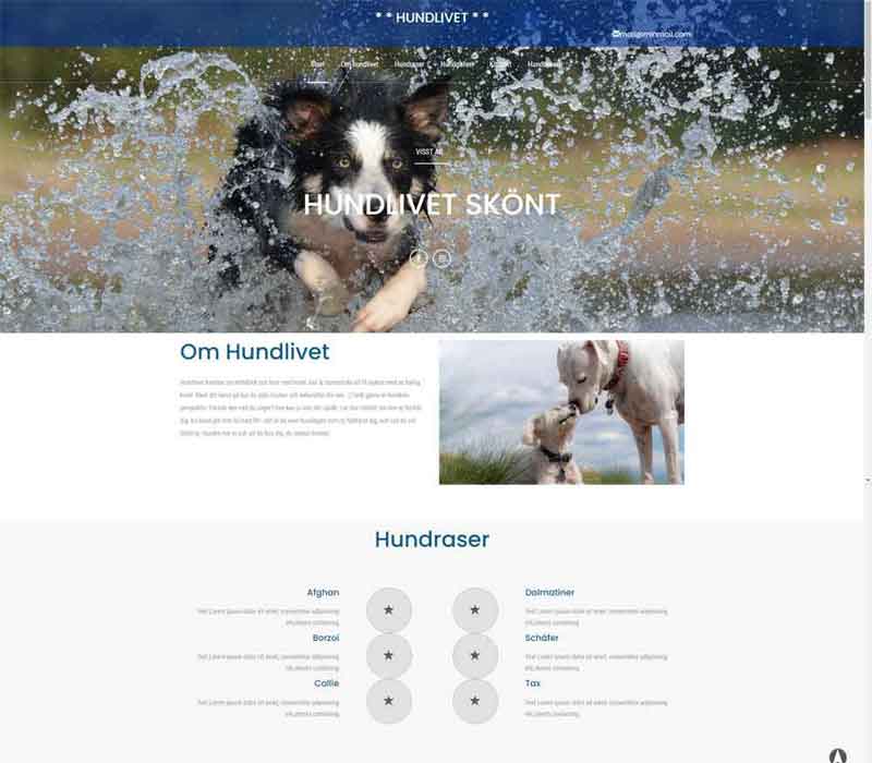 Hundlivet